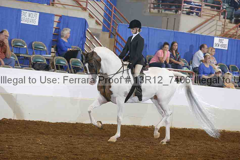 Proof 13r12_7406