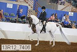 13r12_7406 proof