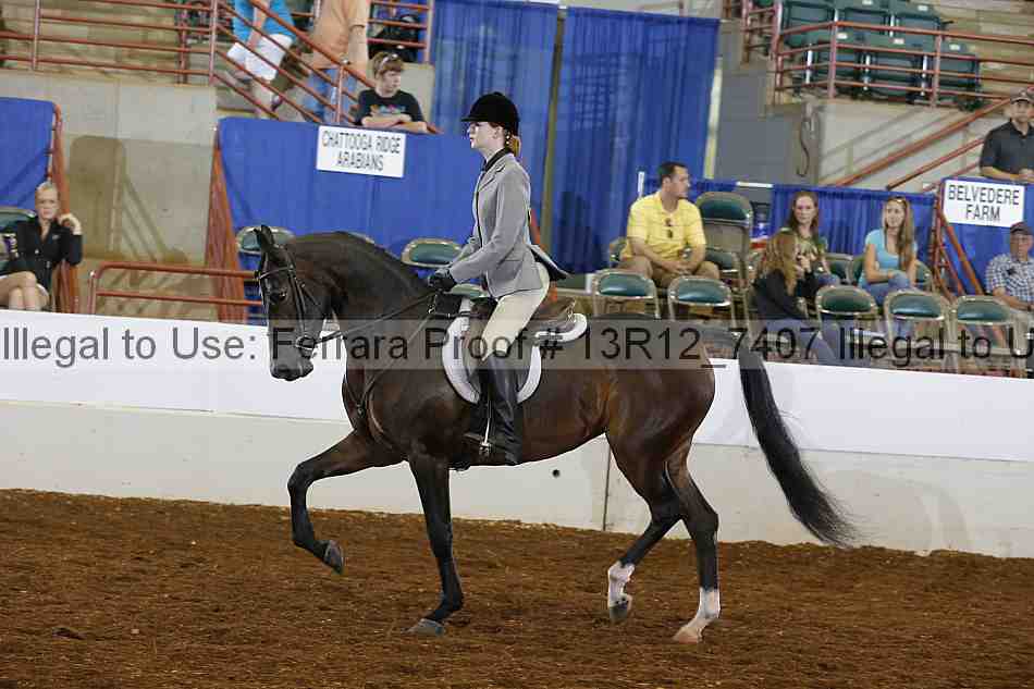 Proof 13r12_7407
