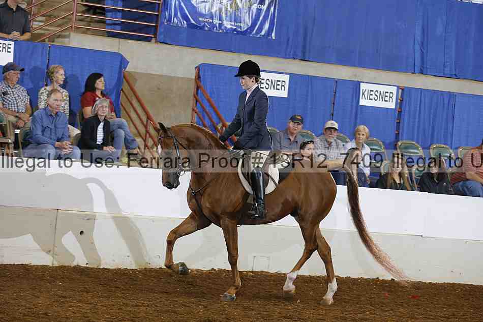 Proof 13r12_7409