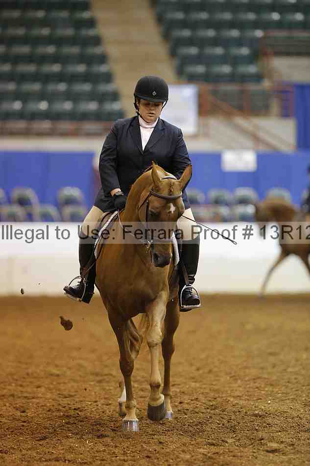 Proof 13r12_7418