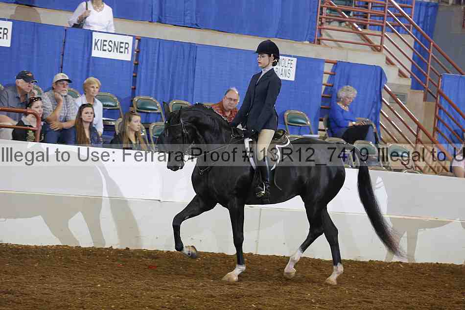 Proof 13r12_7419