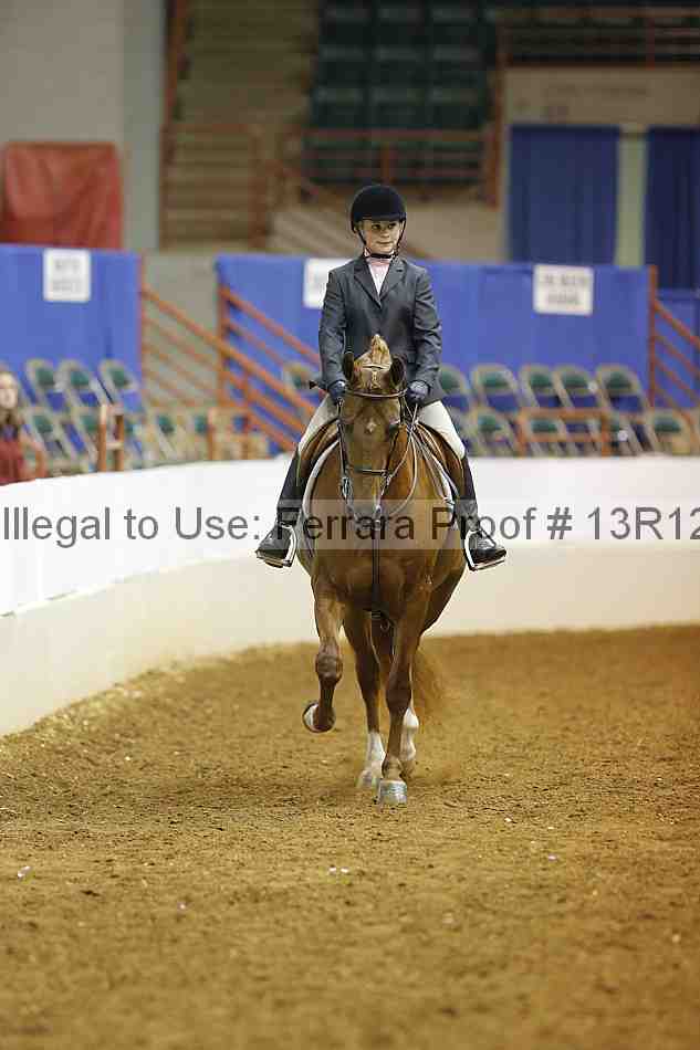 Proof 13r12_7420