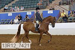 13r12_7421 proof