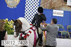 13r12_7428 proof
