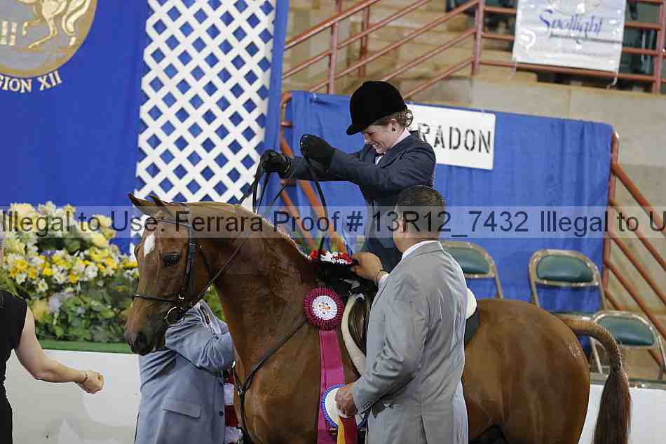 Proof 13r12_7432