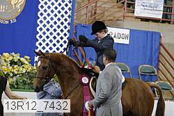 13r12_7432 proof