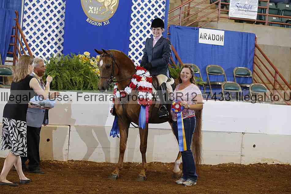 Proof 13r12_7433