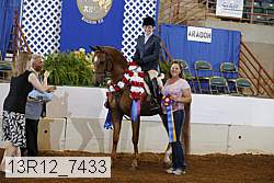 13r12_7433 proof