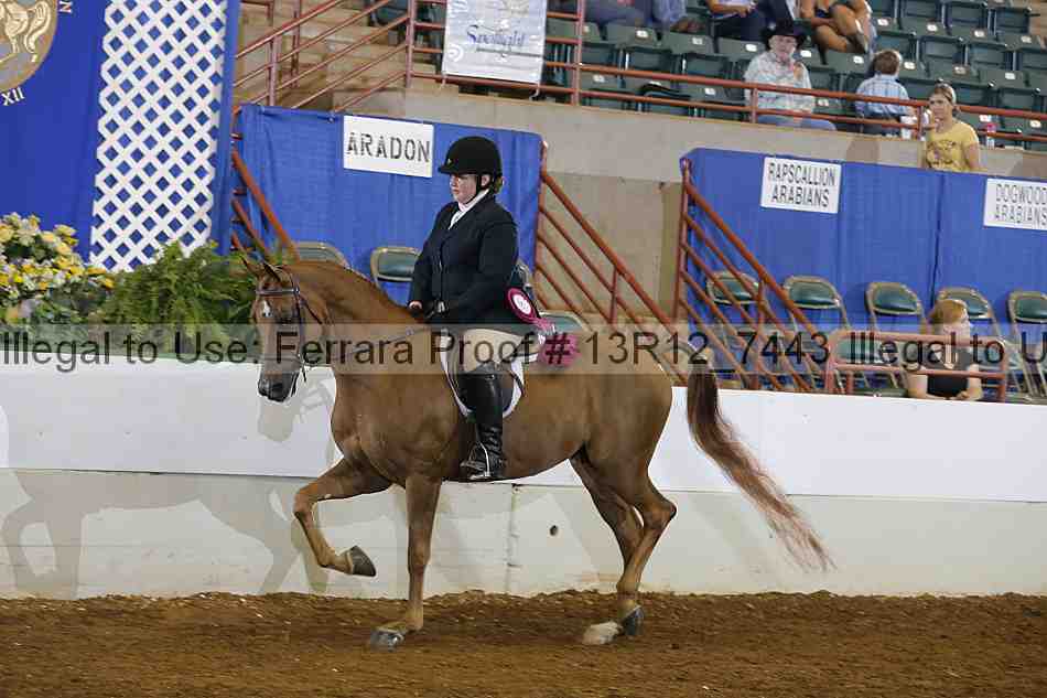 Proof 13r12_7443