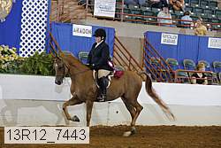13r12_7443 proof