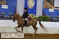 13r12_7444 proof