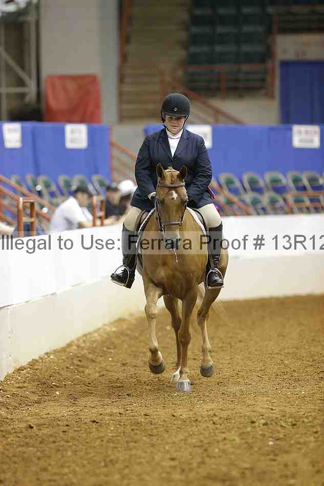 Proof 13r12_7445