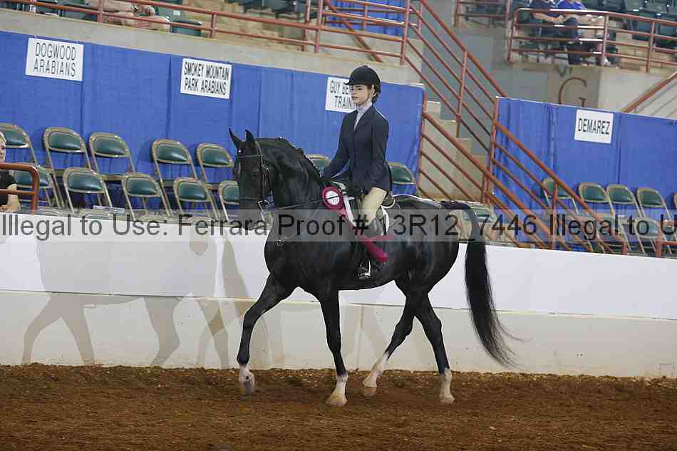 Proof 13r12_7446