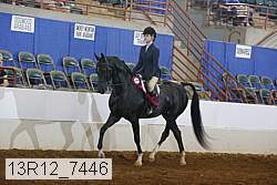 13r12_7446 proof