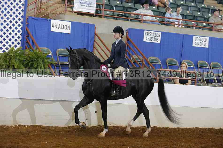 Proof 13r12_7449