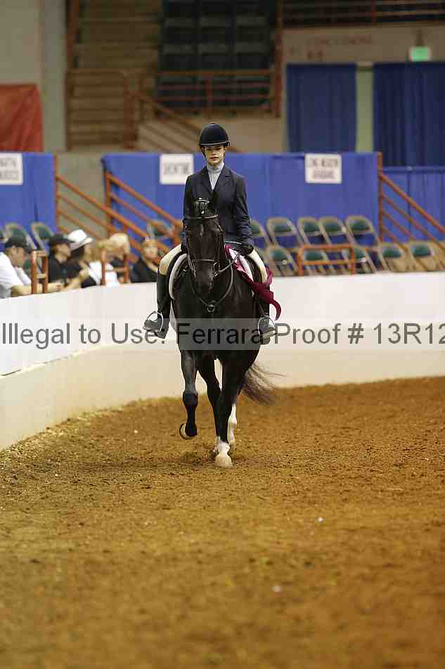Proof 13r12_7451