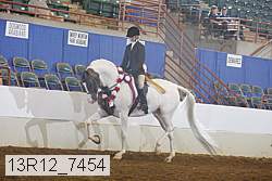 13r12_7454 proof