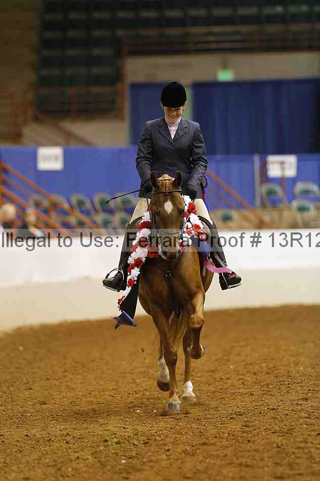 Proof 13r12_7461