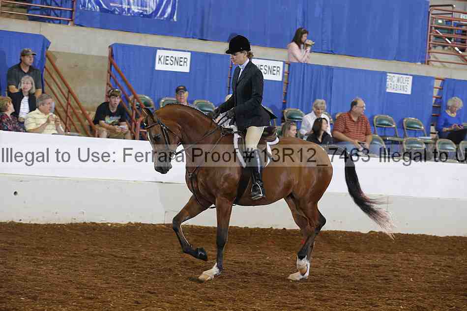 Proof 13r12_7463