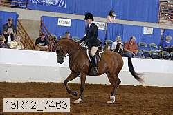 13r12_7463 proof