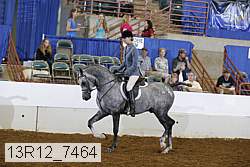 13r12_7464 proof