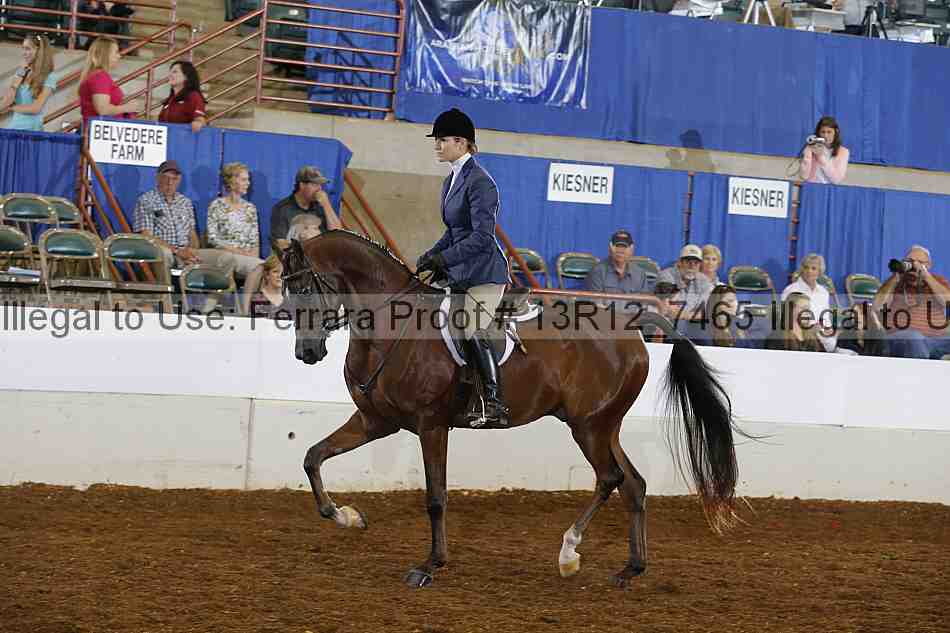 Proof 13r12_7465