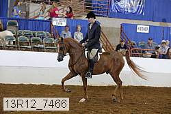 13r12_7466 proof