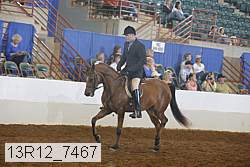 13r12_7467 proof