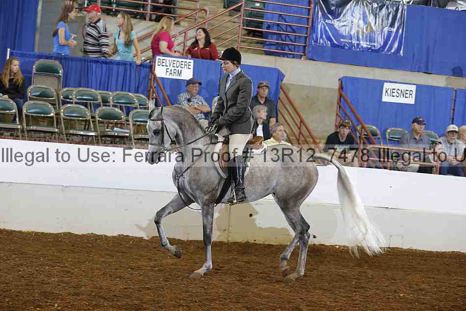 Proof 13r12_7478