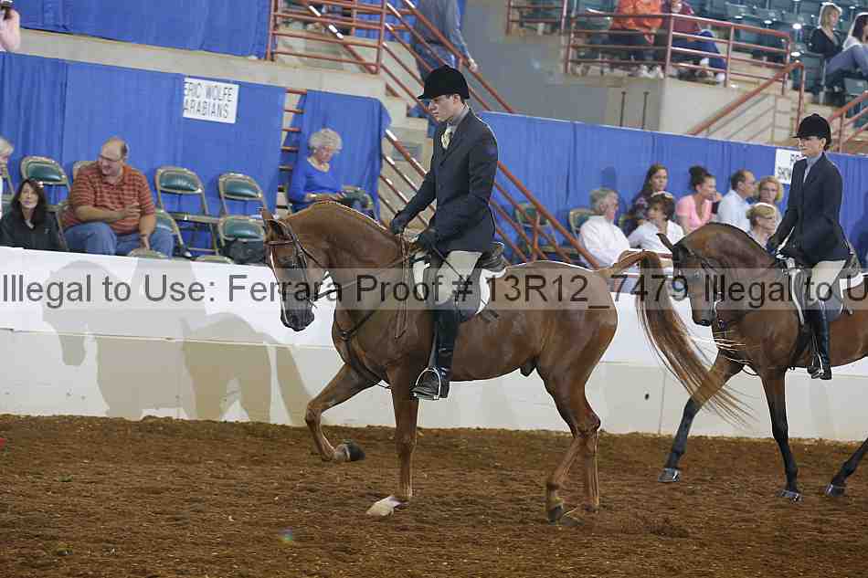 Proof 13r12_7479
