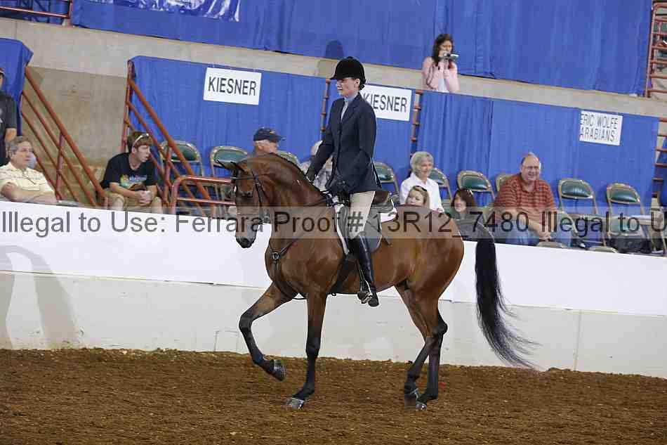 Proof 13r12_7480