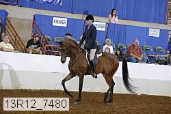 13r12_7480 proof