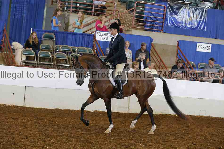 Proof 13r12_7482