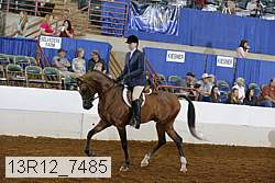 13r12_7485 proof