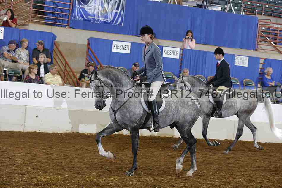 Proof 13r12_7487