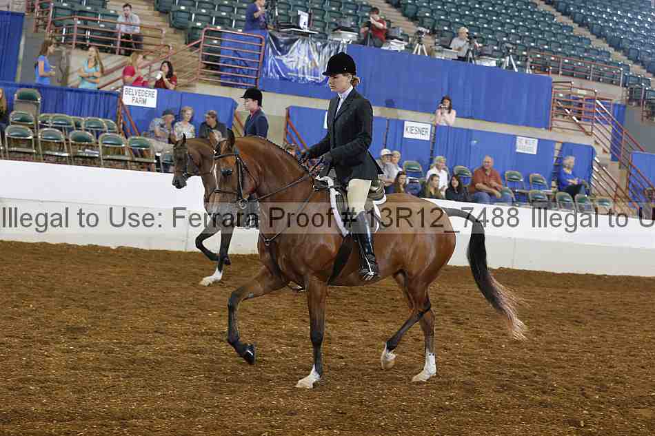Proof 13r12_7488