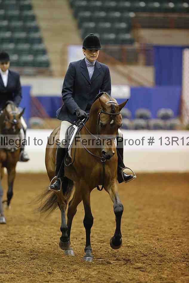 Proof 13r12_7493