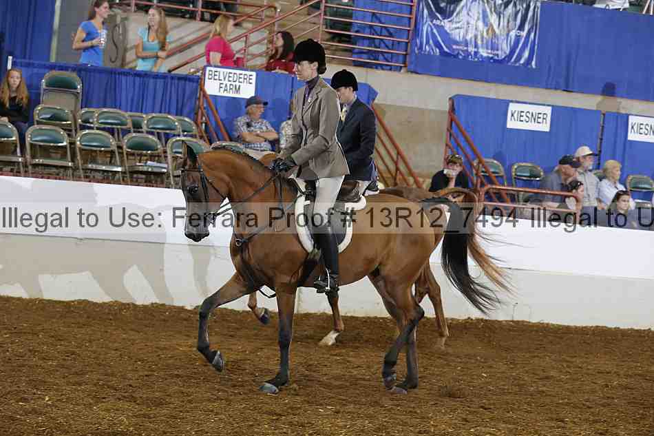 Proof 13r12_7494