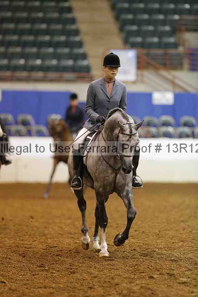 Proof 13r12_7495