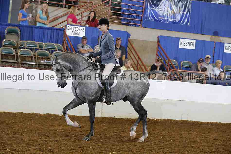 Proof 13r12_7496