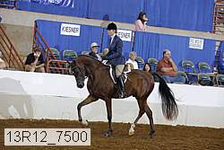 13r12_7500 proof