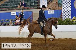 13r12_7513 proof