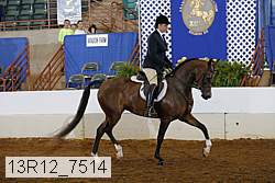 13r12_7514 proof