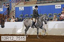 13r12_7515 proof