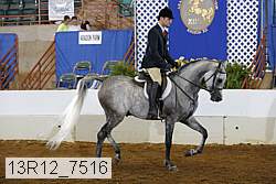 13r12_7516 proof