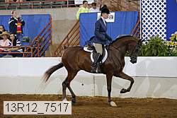 13r12_7517 proof
