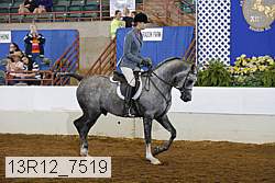 13r12_7519 proof