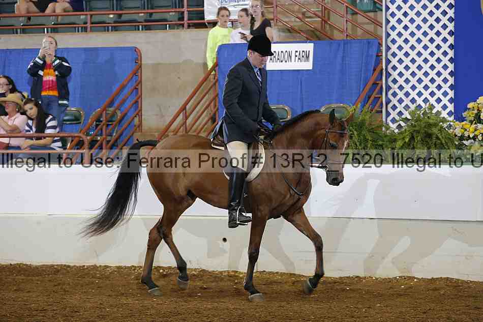 Proof 13r12_7520