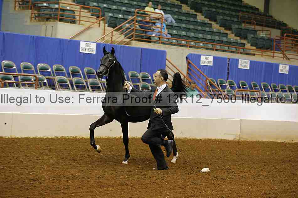 Proof 13r12_7560